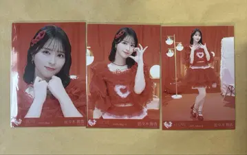 사사키 마이카 특별한 빨간색 의상 컴프 브로마이드 이코러브