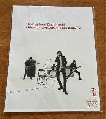 엘리펀트 카시마시 팜플렛 신춘 2025
