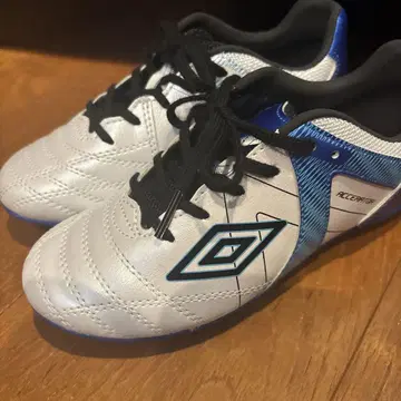 Umbro Accelerator 축구화 화이트/블루 20cm