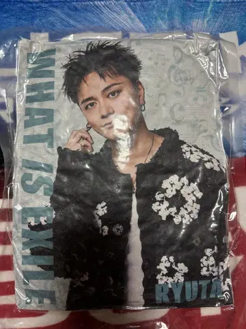 WHAT IS EXILE 히다카 류타 쿠션