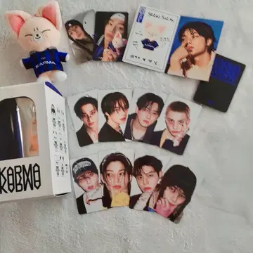 StrayKids 아이엔 KARMA SKZOOver