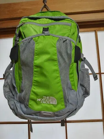 THE NORTH FACE 냅색 그린/그레이