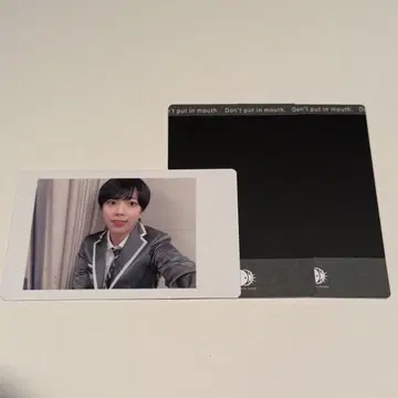 팬더 드래곤 하피카 팟치