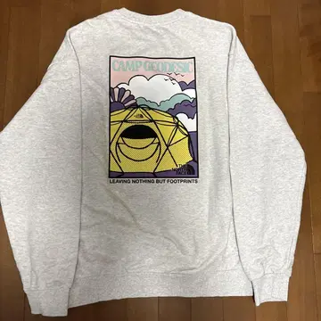 THE NORTH FACE 맨투맨 그레이