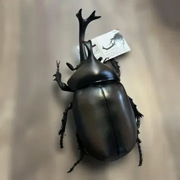 장수풍뎅이 메가 피규어