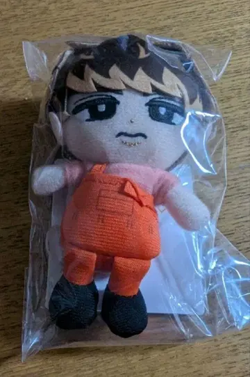 스노우 칠 Snow Man 봉제 인형 무카이 코지