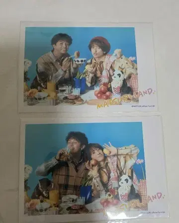 오노데라 츠바사 하시즈메 켄지 MATSURI LAND FC투어 브로마이드