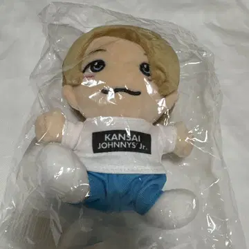 세이몬 요시노리 치비 누이