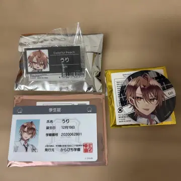컬러풀 피치 우리 파라다이스 캔뱃지 명찰 학생증