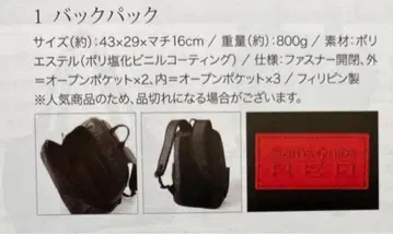 Samsonite RED 백팩