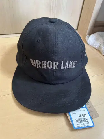 THE NORTH FACE 캡