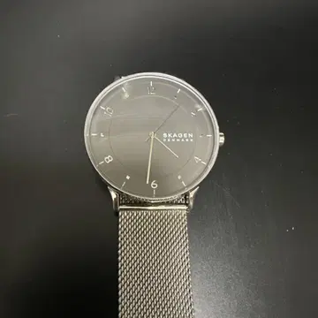 SKAGEN 아날로그 손목시계 그레이 메쉬 밴딩