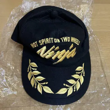 당시물 가와사키 Ninja 캡