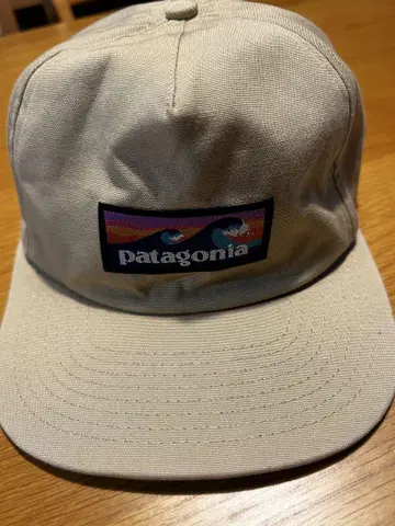 patagonia 파도 로고 베이지 캡