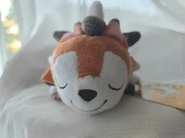 포켓몬 구들구들 봉제 인형 루가루암 황혼의 모습 포켓몬 센터 정품