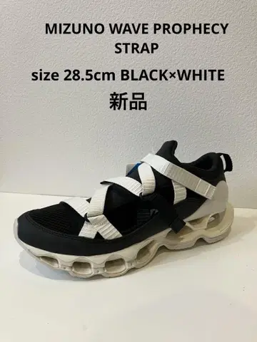 MIZUNO WAVEPROPHECY STRAP 28.5cm