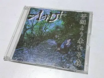 AciD+ 한정판 CD 꿈의 끝에서 온 숲