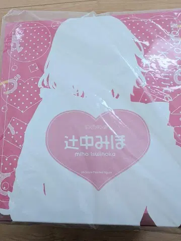 츠지나카 미호 스케일 피규어