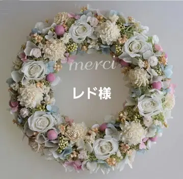 레도 님