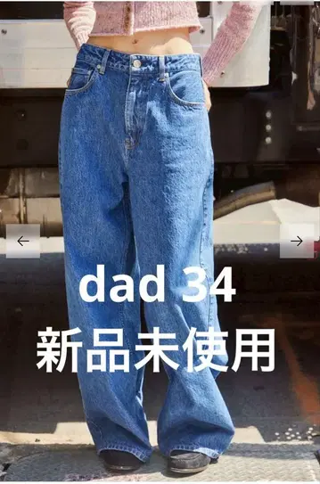 SHISHIKUI 시시쿠이 dad 인디고 34
