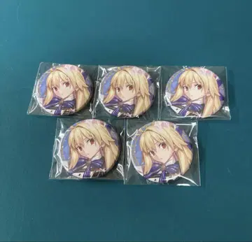 Fate/Grand Order FGO 영기 소환 캔뱃지 아키타입 Fes