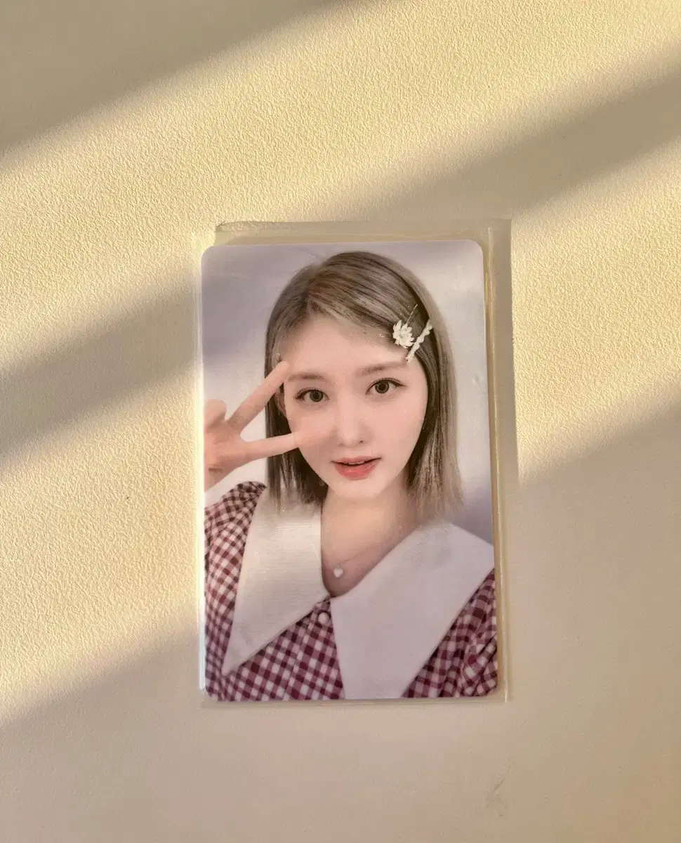 아이브 가을 포토카드 파파존스