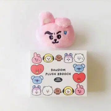 BT21 TODAY'S FACE 랜덤 페이스 브로치 COOKY