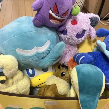 포켓몬 봉제 인형 세트