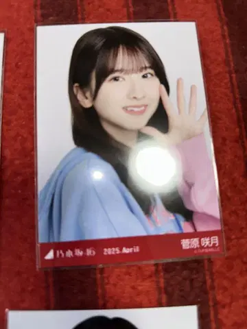 노기자카46 스가와라 사츠키 칼리지 요리