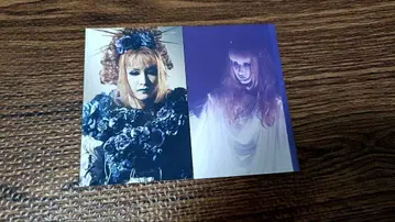 마리스 미제르 생사진 세트 MALICE MIZER 폴라로이드 브로마이드