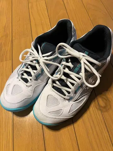 미즈노 테니스화 27.5cm 카펫용