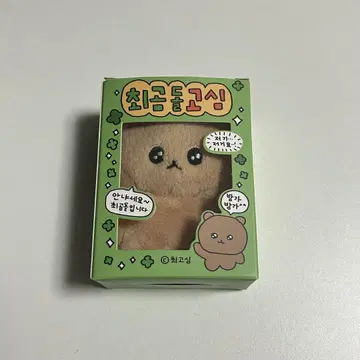 체고심 최곰돌고심 곰고심 박스형 마스코트 키링