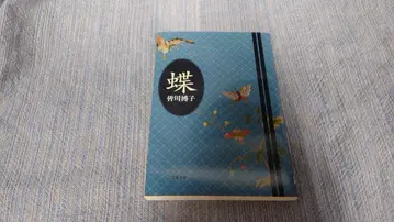 미나카와 히로코 나비 분슌분코