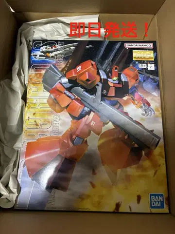 MG 1/100 릭 디아스 (콰트로기)