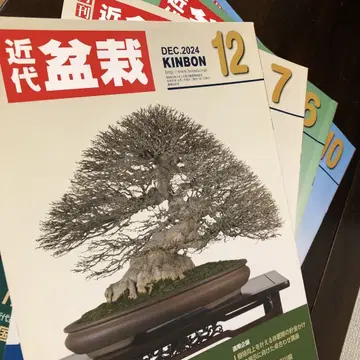 근대 분재 2024년 12월호 10.7.6월호 4권 세트