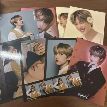 nctdream 지성 묶음 판매