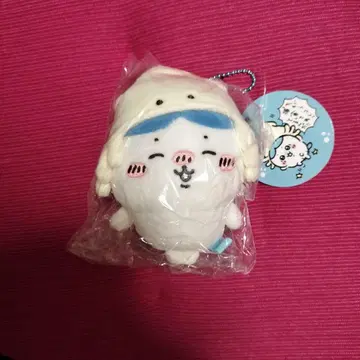 치이카와 수족관 오징어 하치와레 마스코트