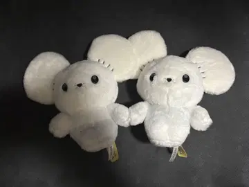포켓몬 왓카네즈미 너로 정했다 포켓몬 겟 봉제 인형