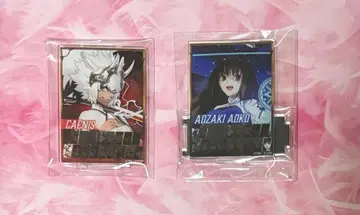 FGO 페스티벌 랜덤 대전 화면풍 아크릴 스탠드 카이니스 아오자키 아오코