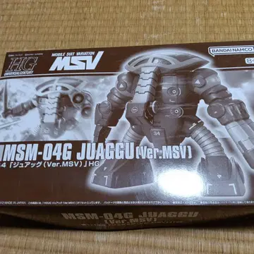 HG 주아그 (Ver.MSV)