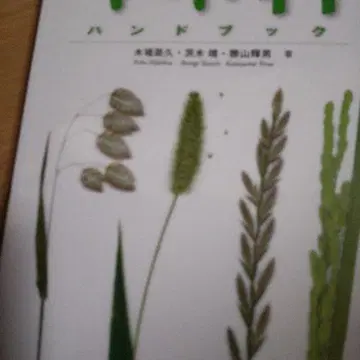 벼과 핸드북 amiyu 님 연락