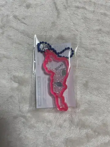 비와코 아크릴 키링 호쿠리쿠 미즈도리 스테이션