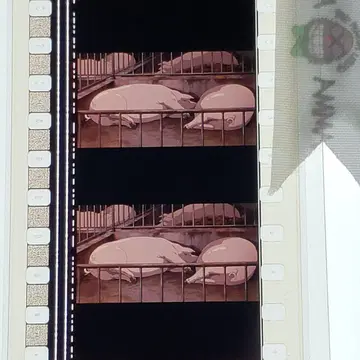 센과 치히로의 행방불명 028 / 미타카노모리 지브리 미술관 필름 마커