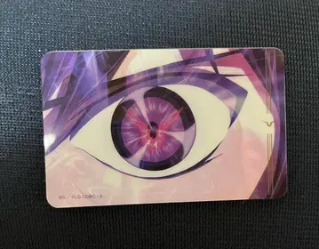 를르슈 PIICA IC 카드