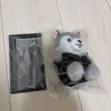 노킹 온 락드 도어 2세트
