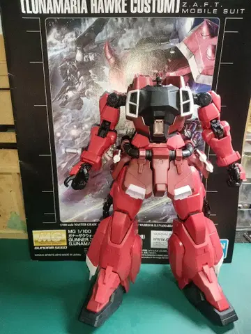 MG 1/100 건너자쿠 루나마리아 호크 커스텀 (부품용)
