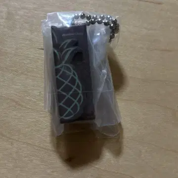 지구의 산책법 하와이 기념품 컬렉션 호놀룰루 쿠키