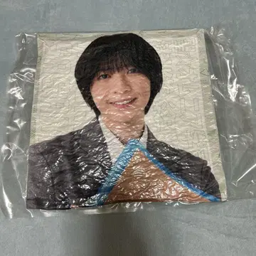 사사모리 히로키 쿠션