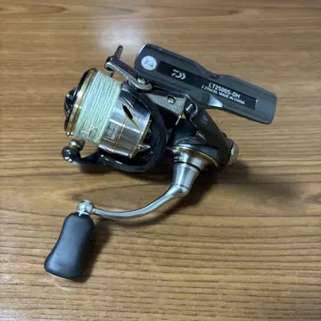 다이와 20 루비아스 LT2500S-DH