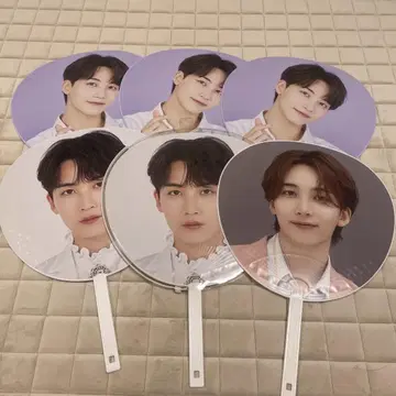 SEVENTEEN 세부치 정한 부채